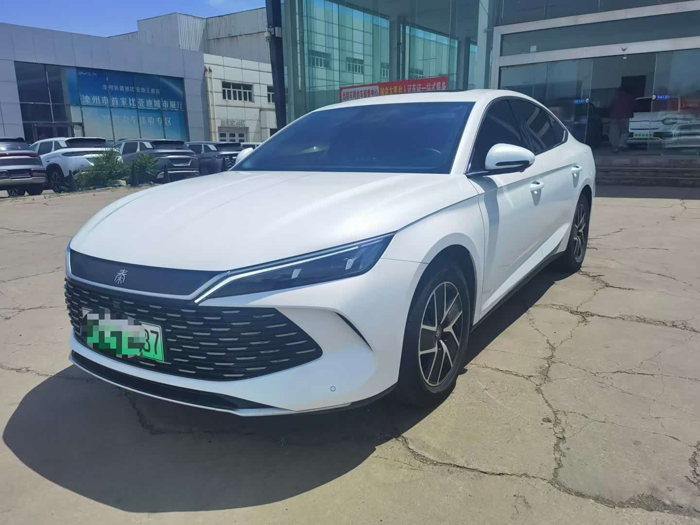 BYD Qin L