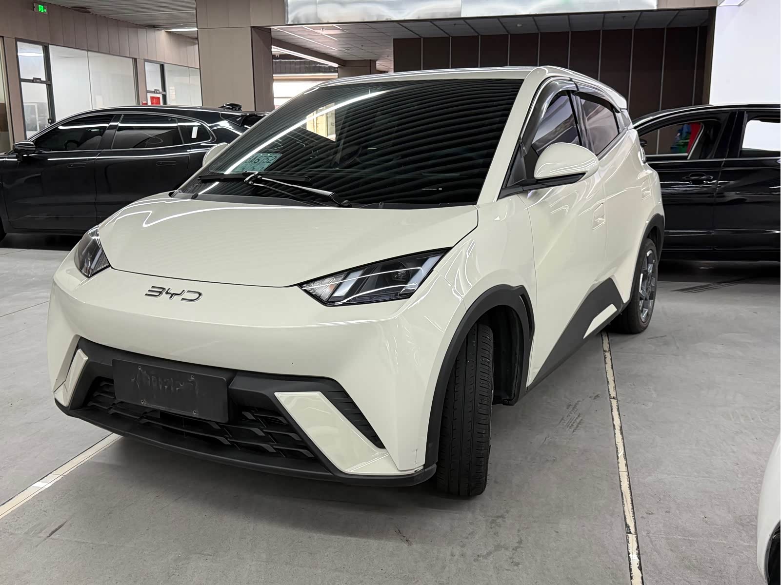 BYD Seagull