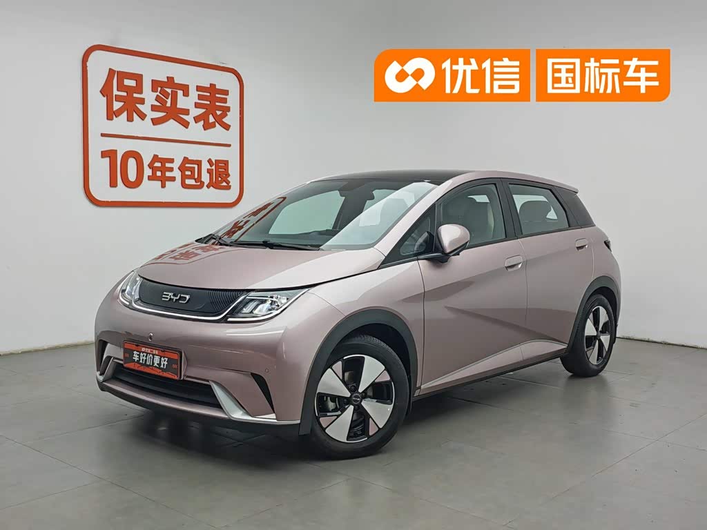 BYD Dolphin