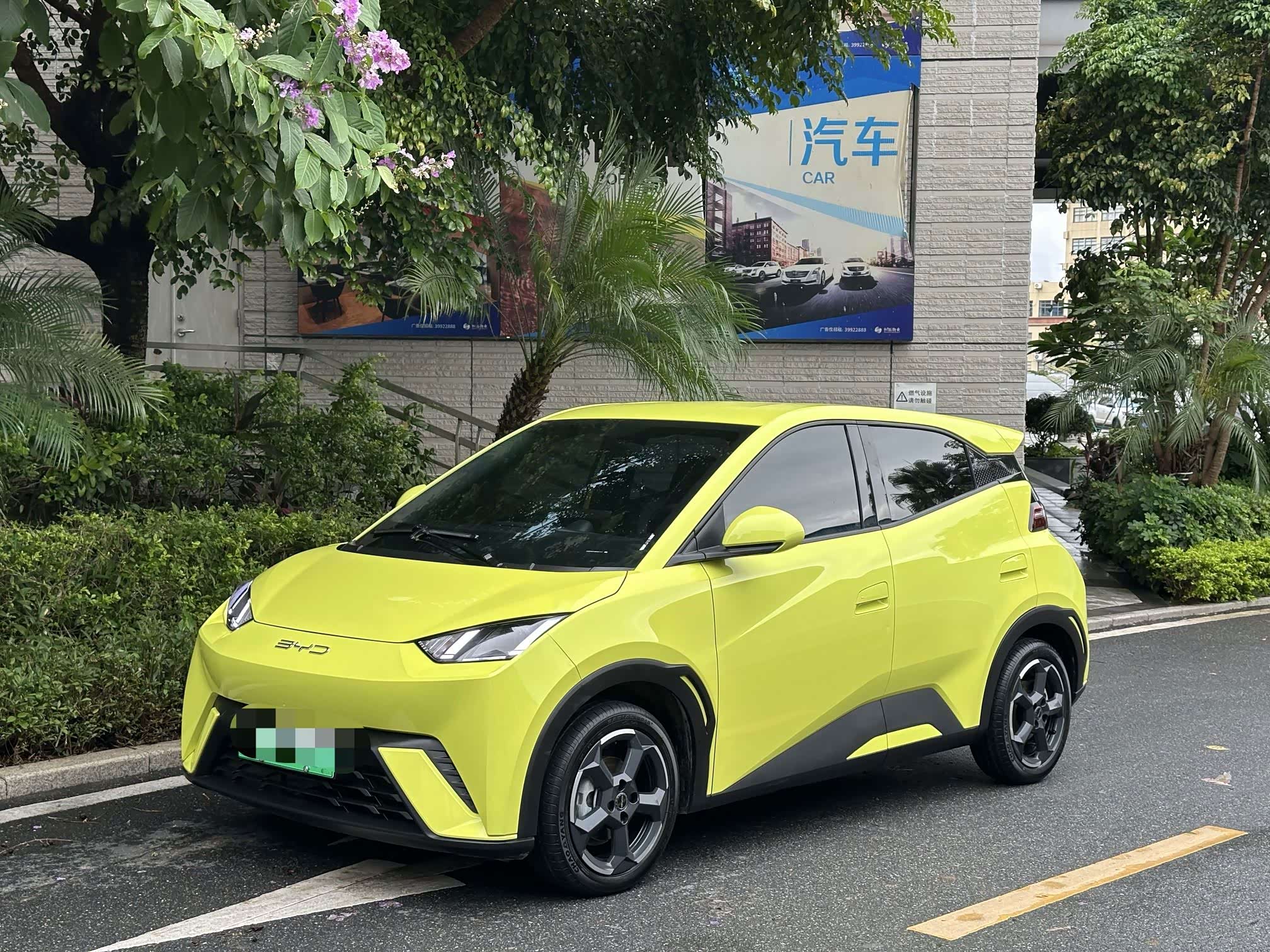 BYD Seagull