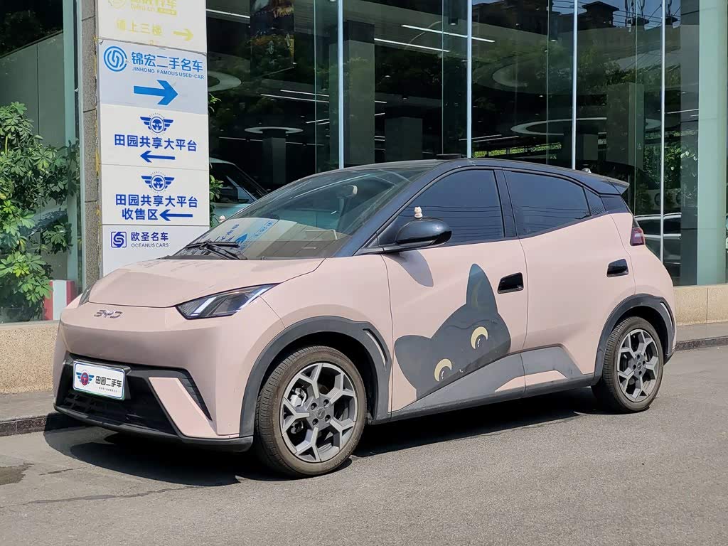 BYD Seagull