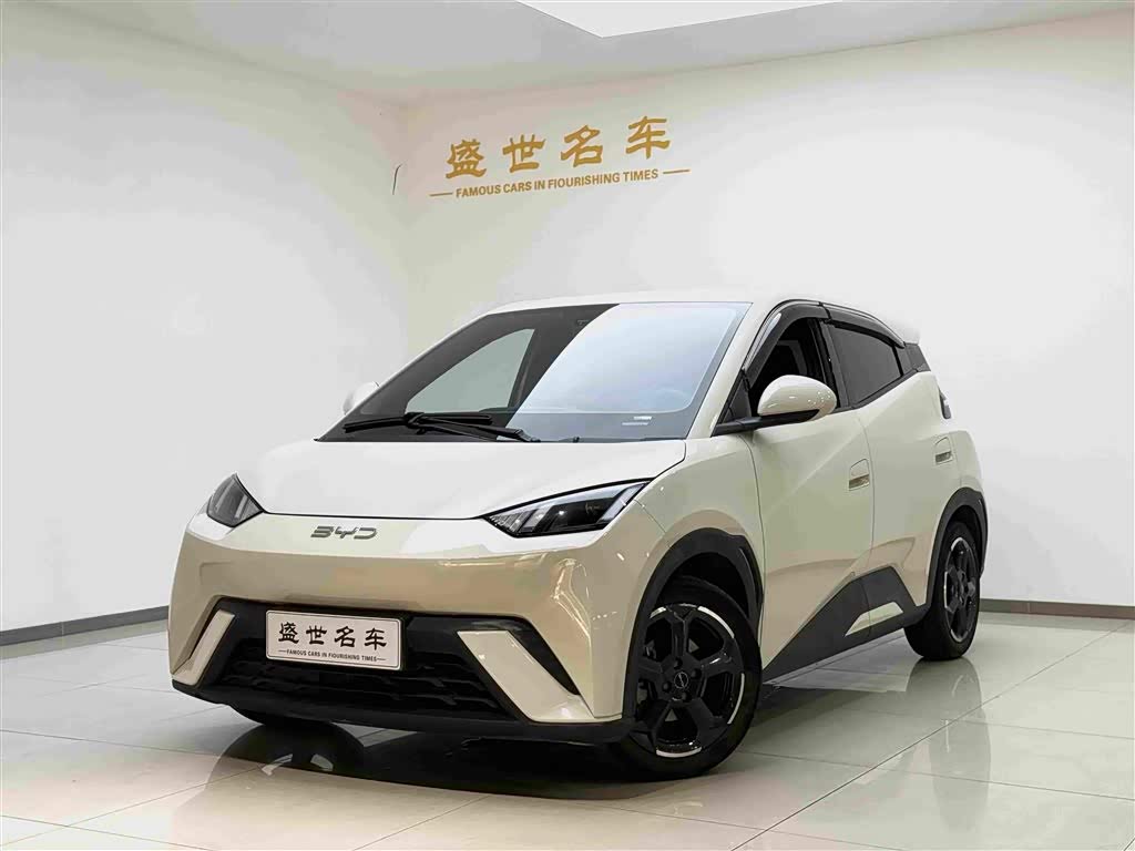 BYD Seagull