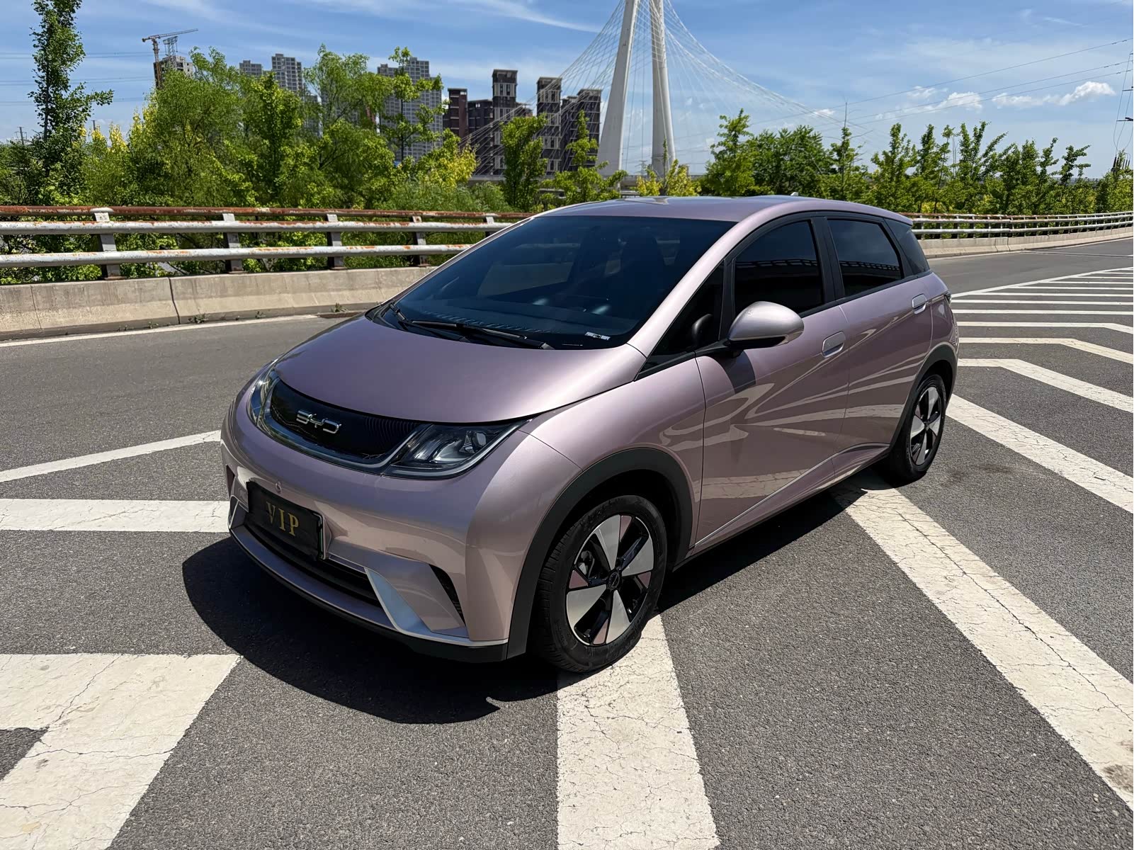 BYD Dolphin
