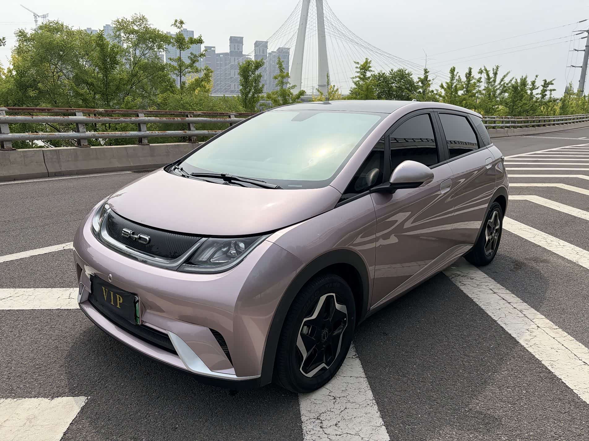 BYD Dolphin