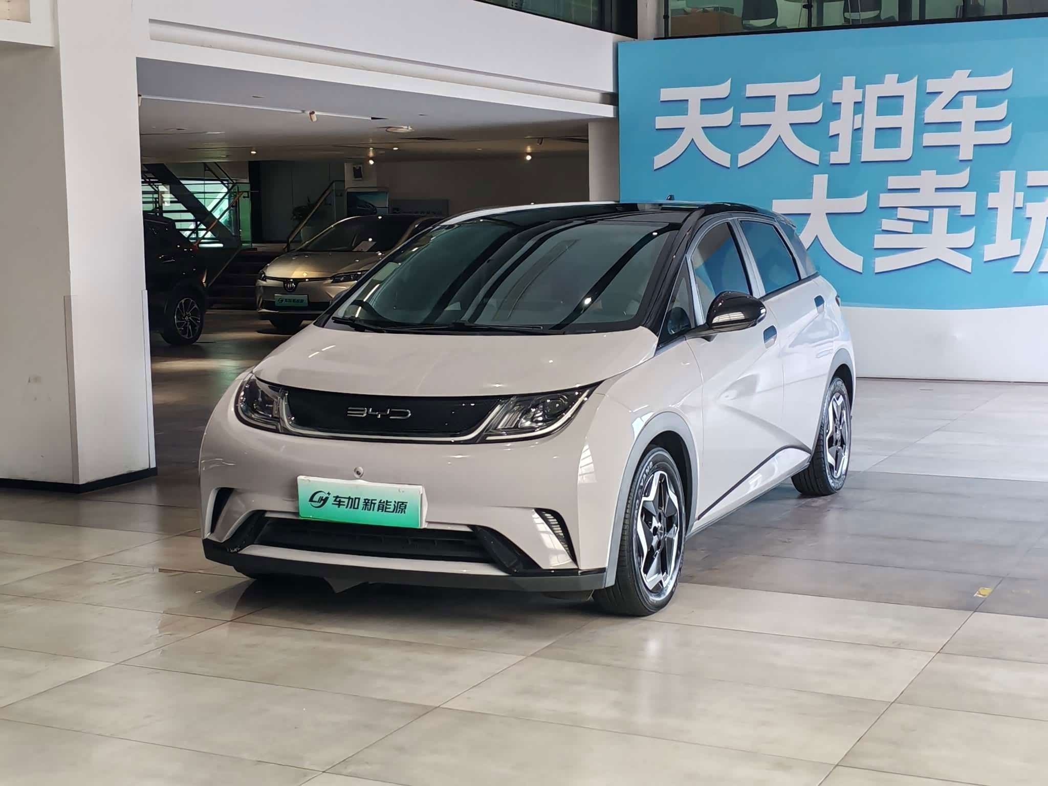 BYD Dolphin