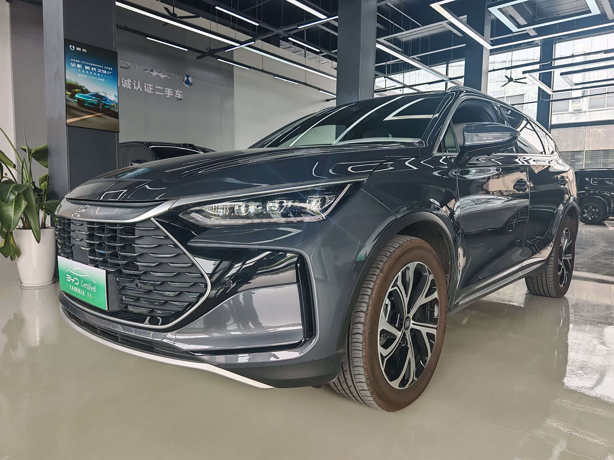 BYD Tang