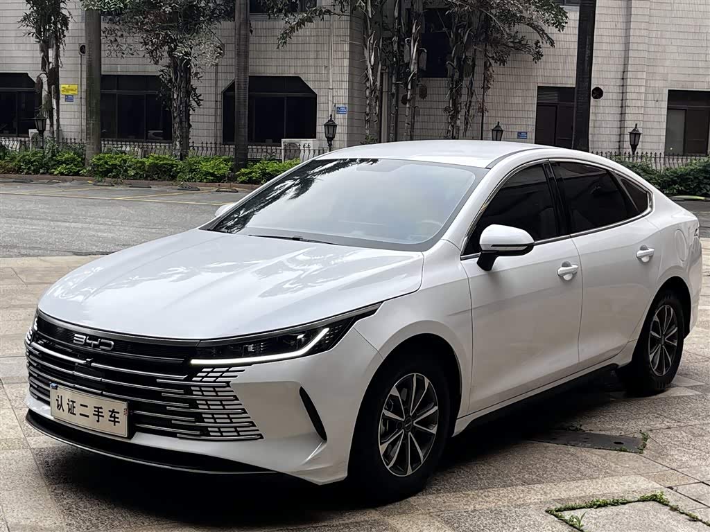 BYD Destroyer 05
