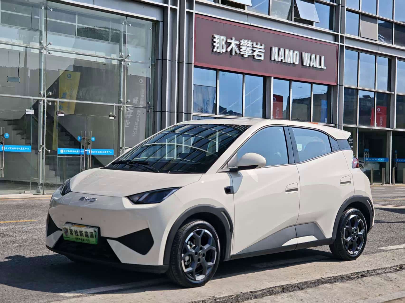 BYD Seagull