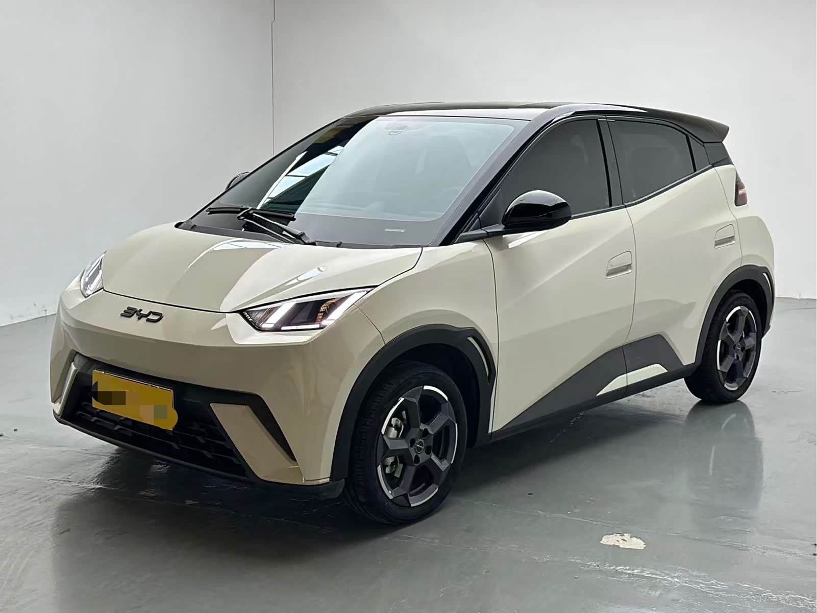 BYD Seagull
