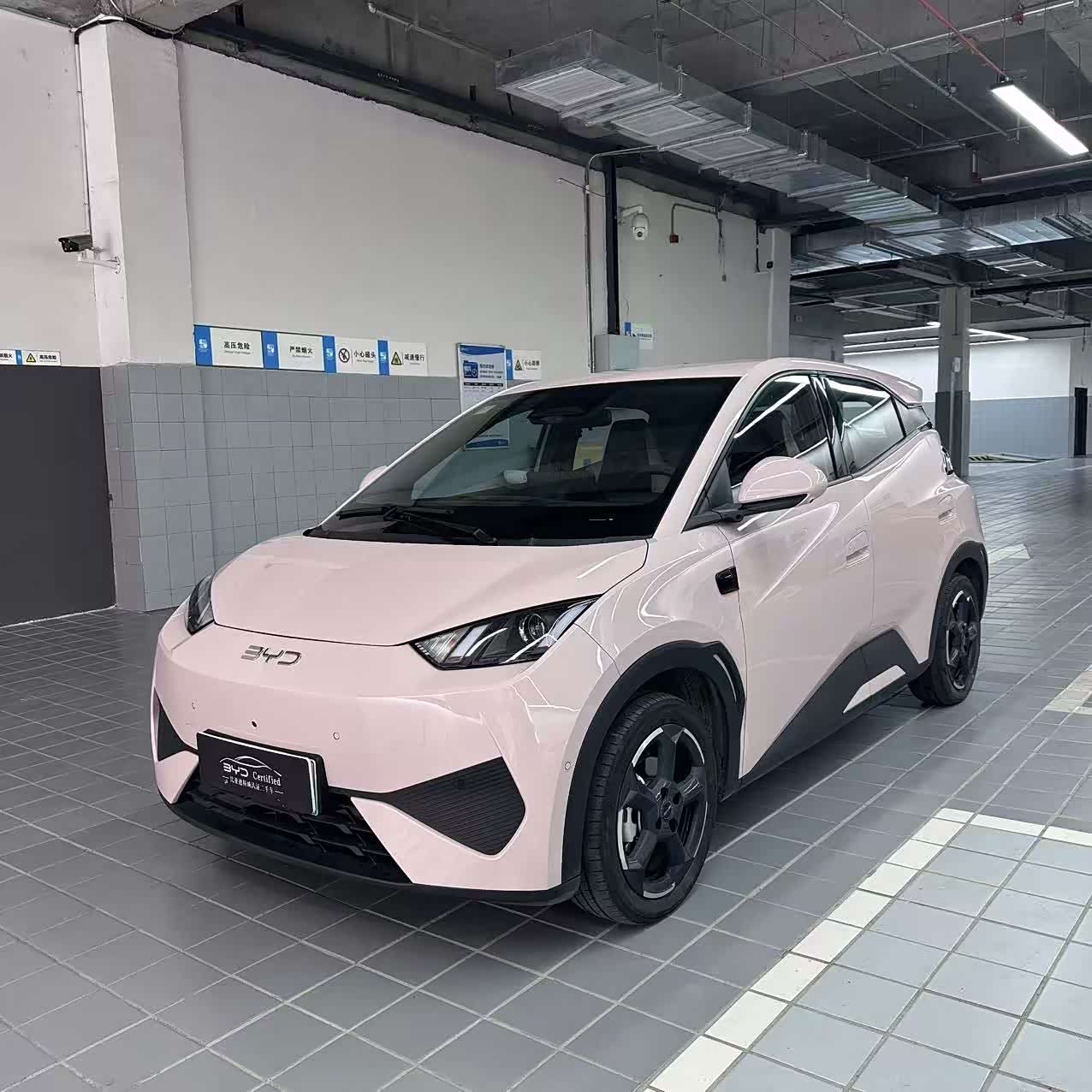 BYD Seagull
