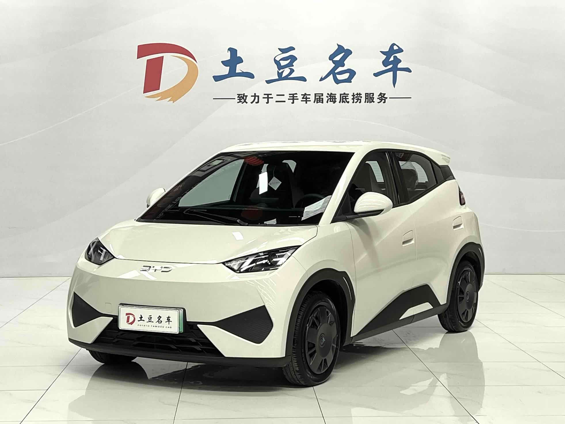 BYD Seagull