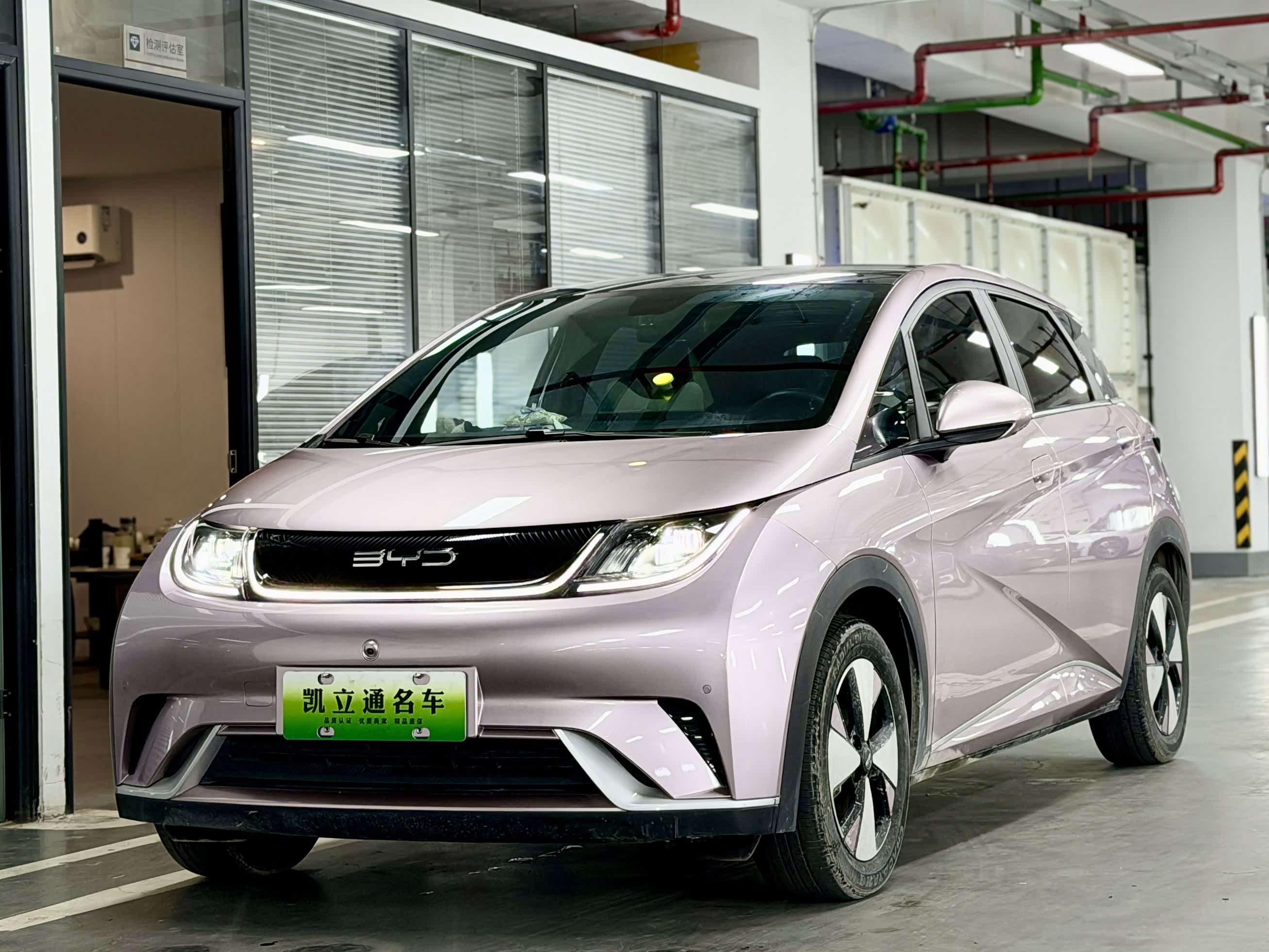 BYD Dolphin